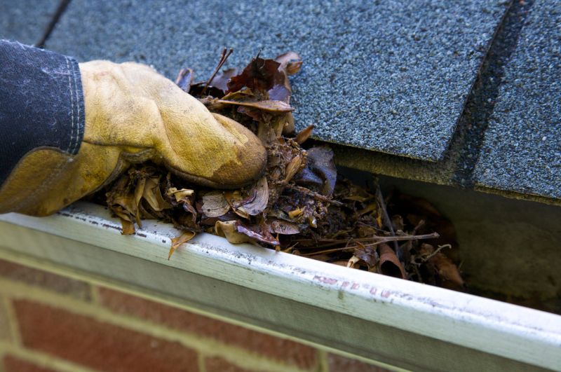 Clogged Gutter Clearing in Long Island, NY