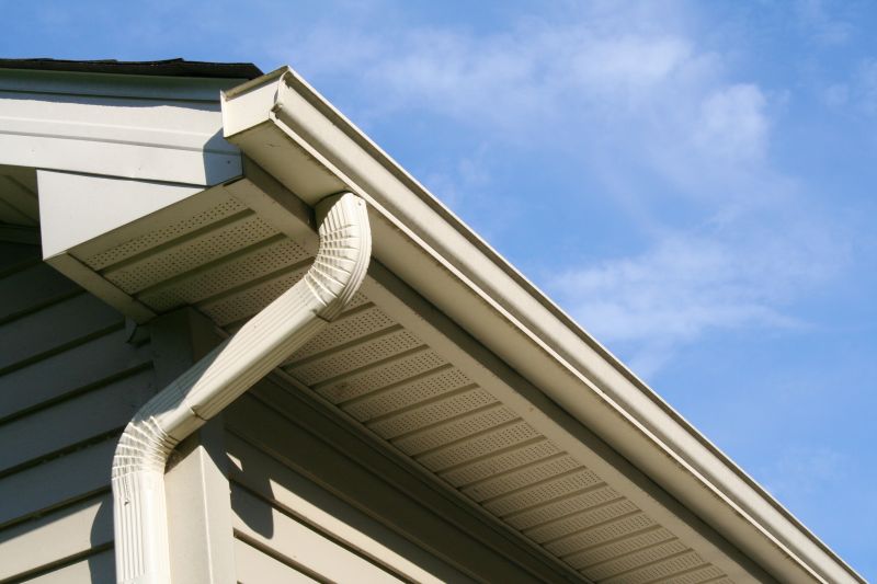 Eavestrough Clearing in Rochester, NY