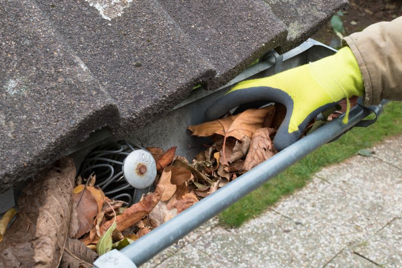 Business Gutter Cleaning in Littleton, CO