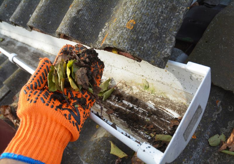 Clogged Gutter Clearing in Arvada, CO