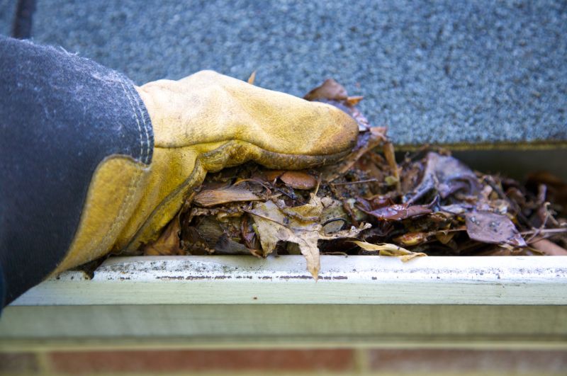 Clogged Gutter Clearing in Long Island, NY