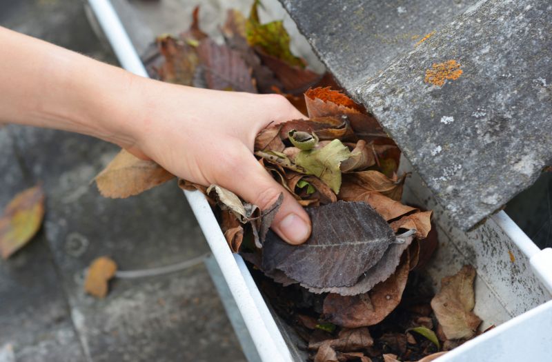 Commercial Downspout Cleaning in Littleton, CO