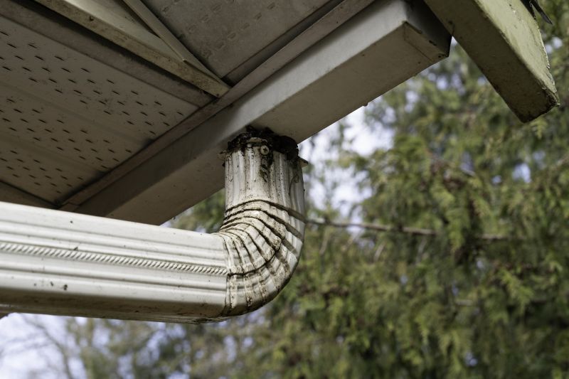 Downspout Cleaning in Long Island, NY