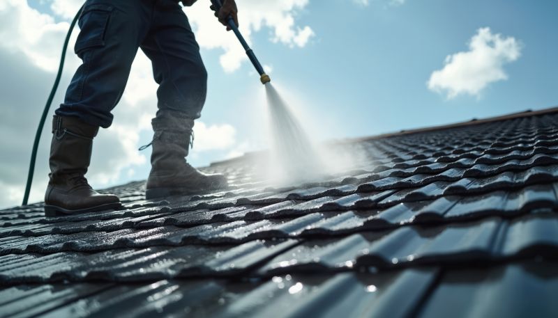Garage Roof Cleaning in Vancouver, WA