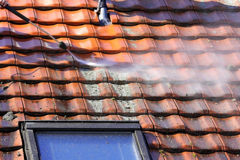 Garage Roof Cleaning in Vancouver, WA