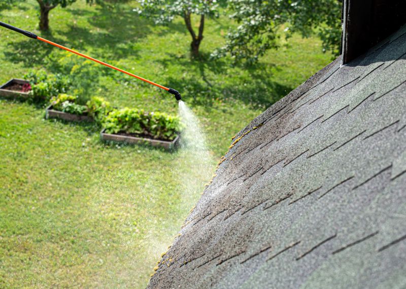 Garage Roof Power Washing in Vancouver, WA
