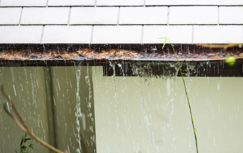 Gutter Blockage Removal in Boulder, CO