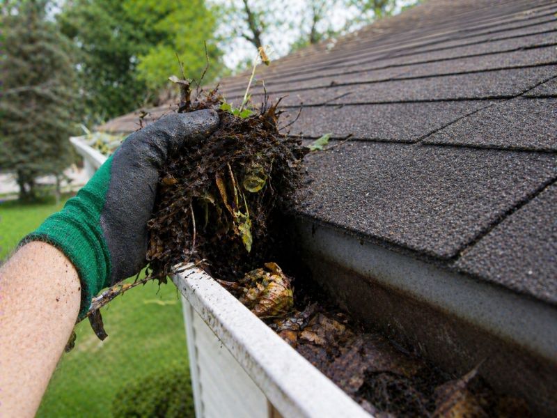 Gutter Blockage Removal in Longmont, CO