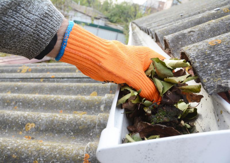Gutter Cleaning in Annapolis, MD