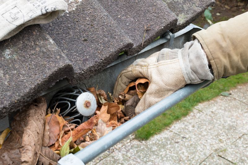 Gutter Leaf Clearing in Boulder, CO