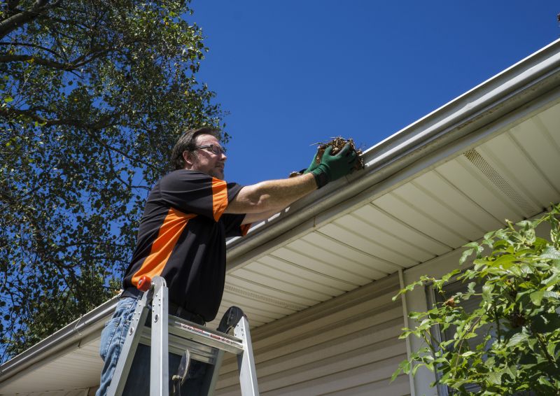 Gutter Leaf Clearing in Longmont, CO