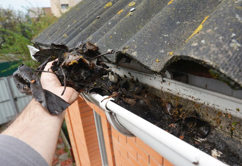 Gutter Leaf Clearing in Rochester, NY