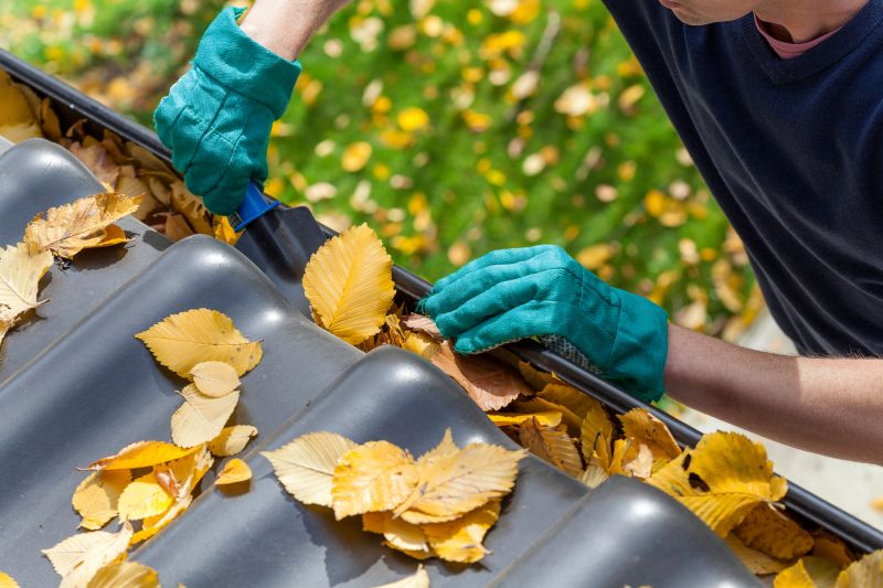 Gutter Leaf Clearing in Rochester, NY