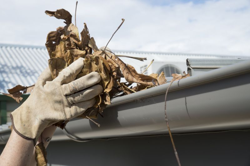 Gutter Leaf Clearing in Baltimore, MD