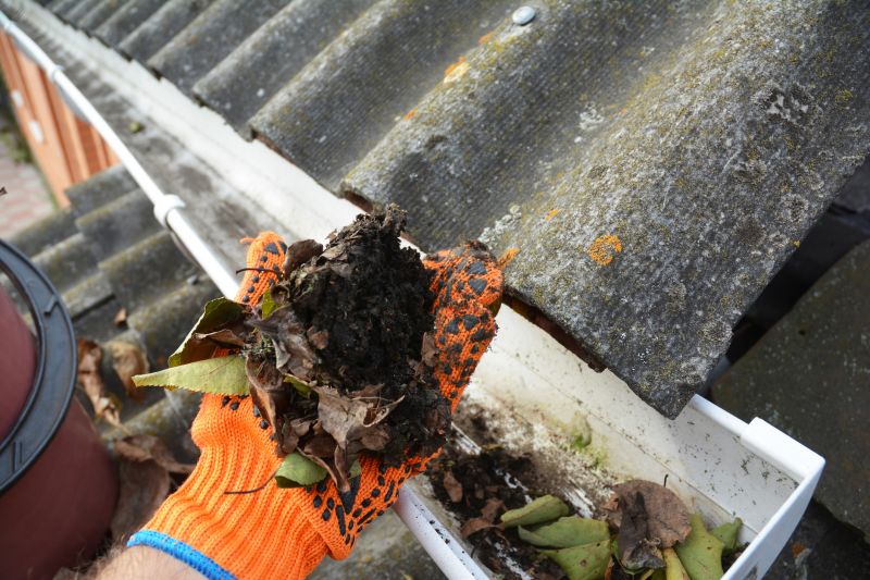 Gutter Leaf Clearing in Annapolis, MD