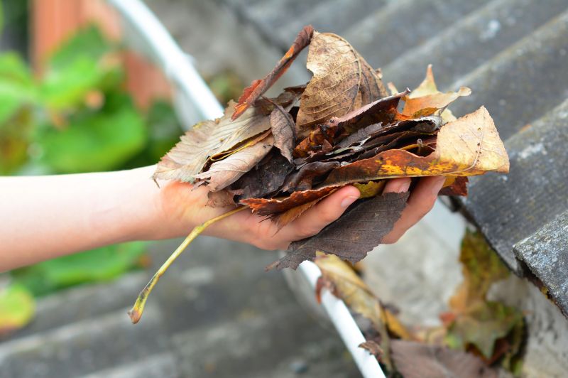 Gutter Leaf Clearing in Arvada, CO