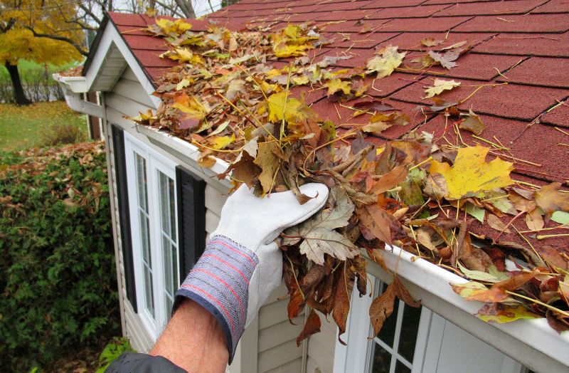 Gutter Leaves Removal in Monmouth County, NJ