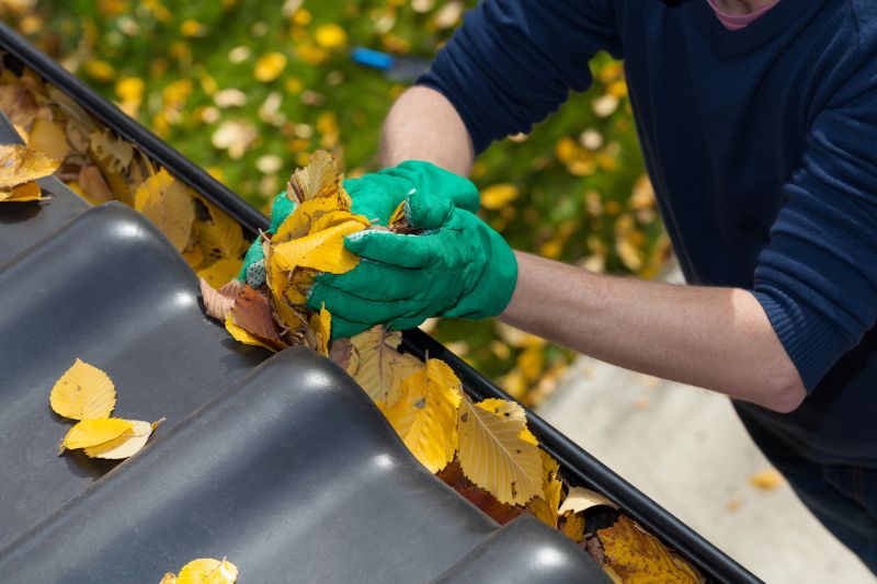 Gutter Leaves Removal in Frederick, MD
