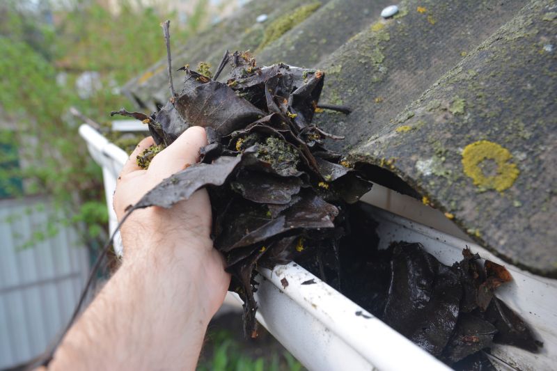 Gutter Pine Needle Removal in Bergen County, NJ