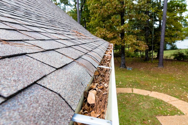 Gutter Pine Needle Removal in Rochester, NY