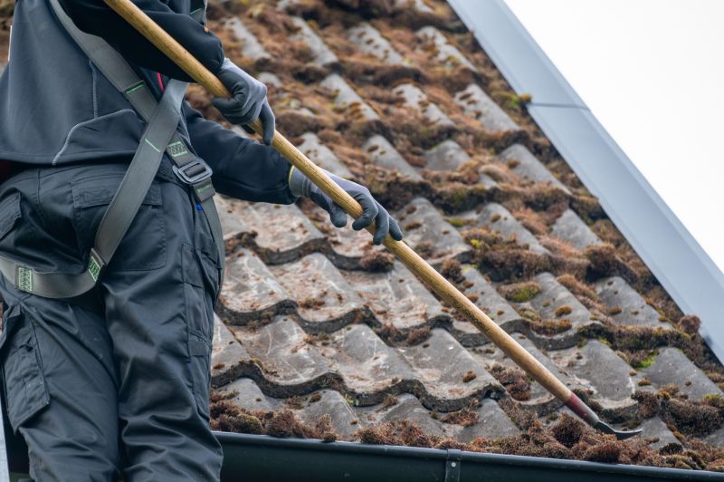 Roof Algae Removal in Vancouver, WA