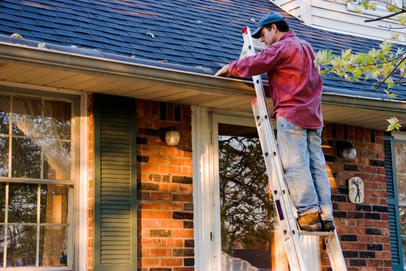Roof Gutter Cleaning in Pittsburgh, PA
