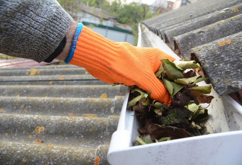 Roof Gutter Cleaning in Pittsburgh, PA