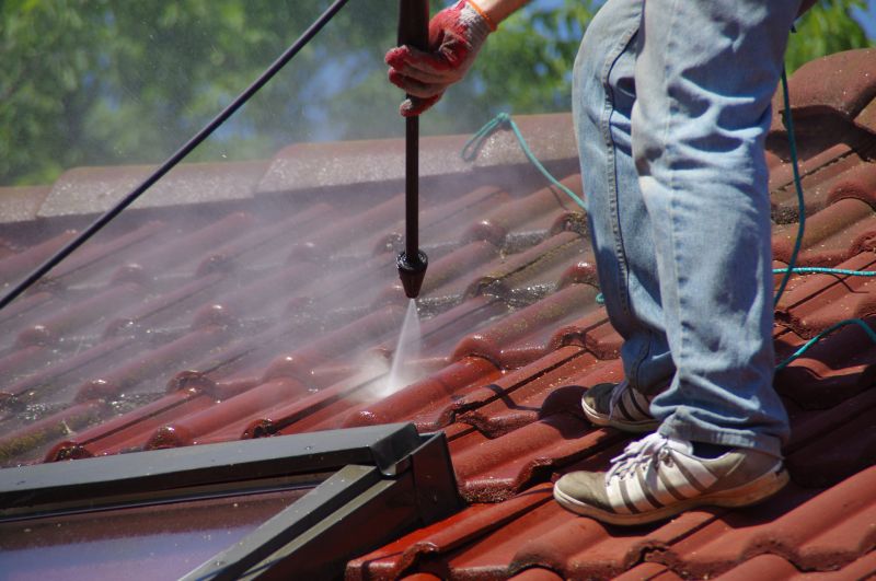Roof Stain Removal in Vancouver, WA