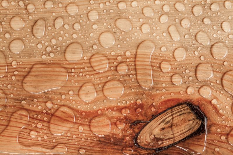 Wood Waterproofing in Seattle, WA