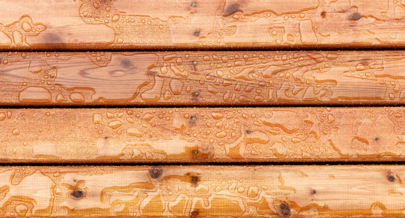 Wood Waterproofing in Redmond, WA